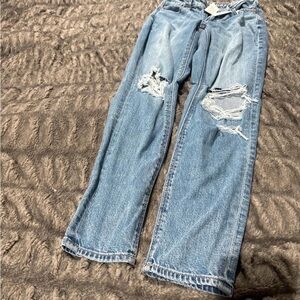 American Eagle Outfitters Light Blue Distressed Boyfriend Jeans